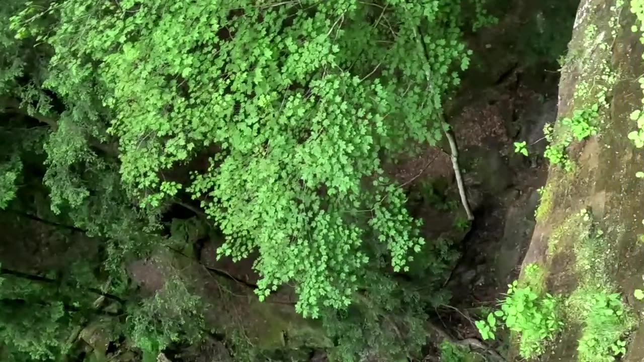 120ft Barefoot Rappel in Hocking Hills! 😯