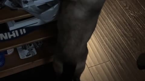 what u trynna do there buster