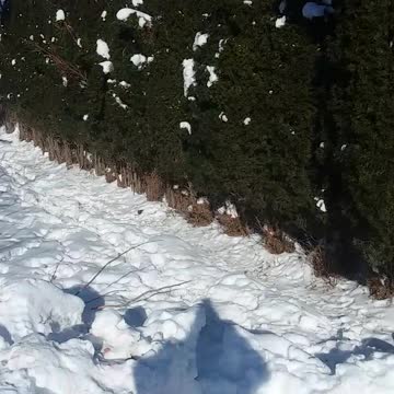 Psalm 43 (Message Bible) Clear my name