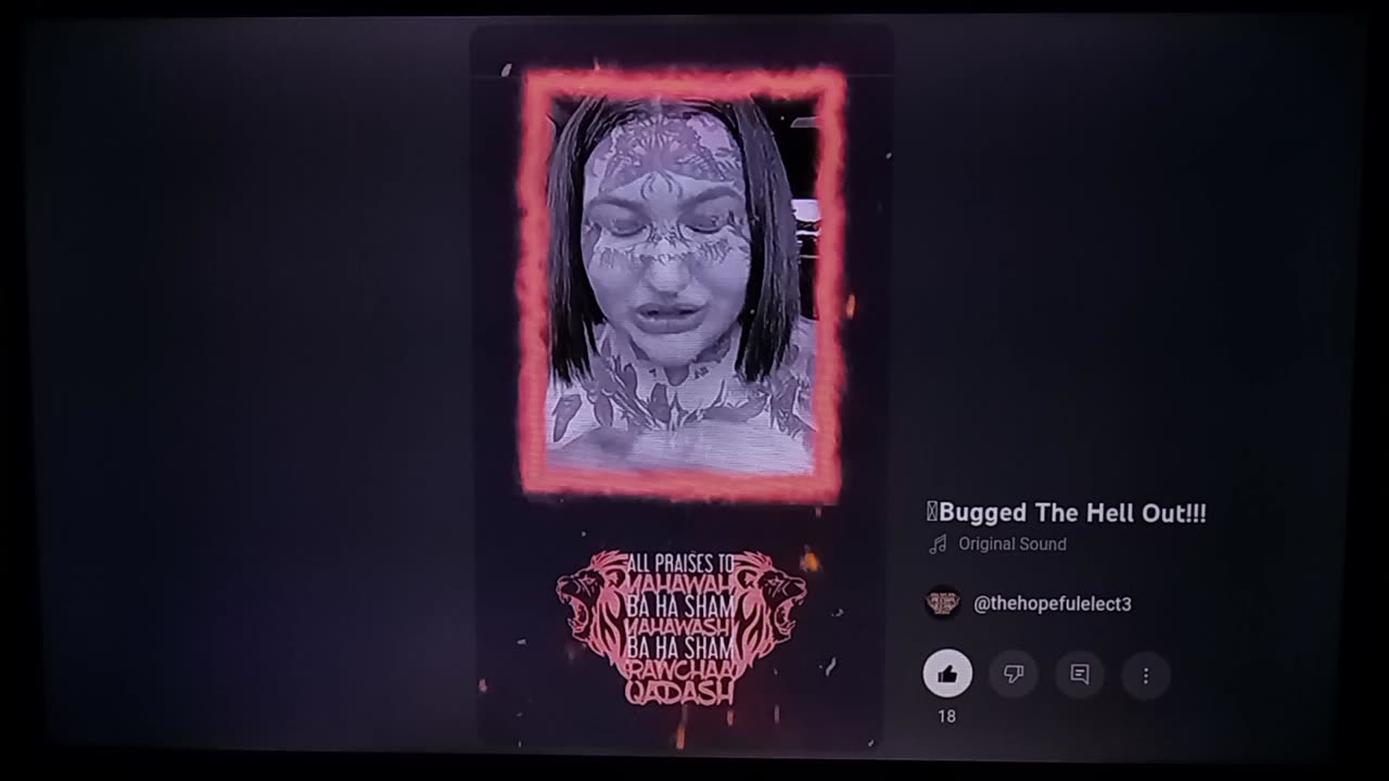 BUGGED THE HELL OUT!!!-THE HOPEFUL ELECT 3