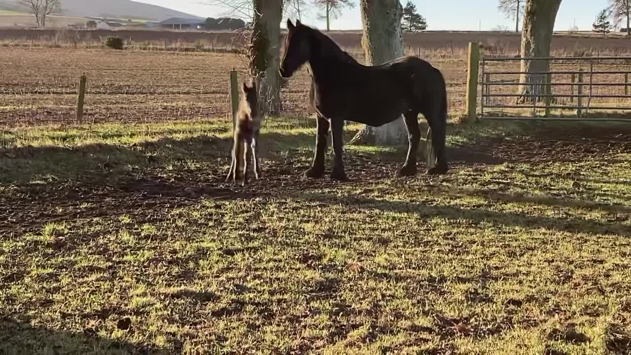 First day outside stretching her legs