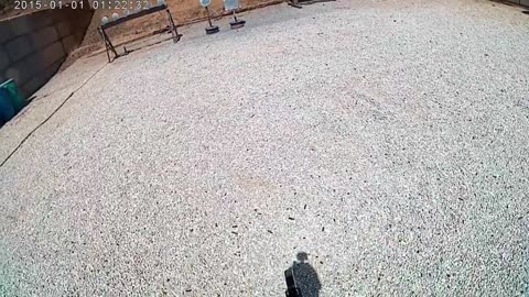 uspsa training