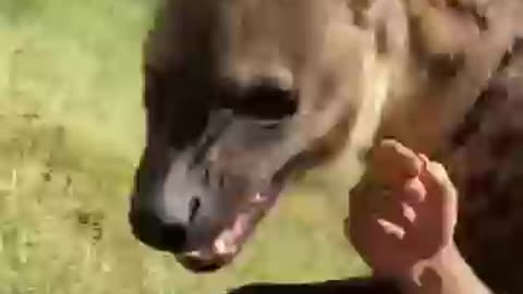 Meet my friend
