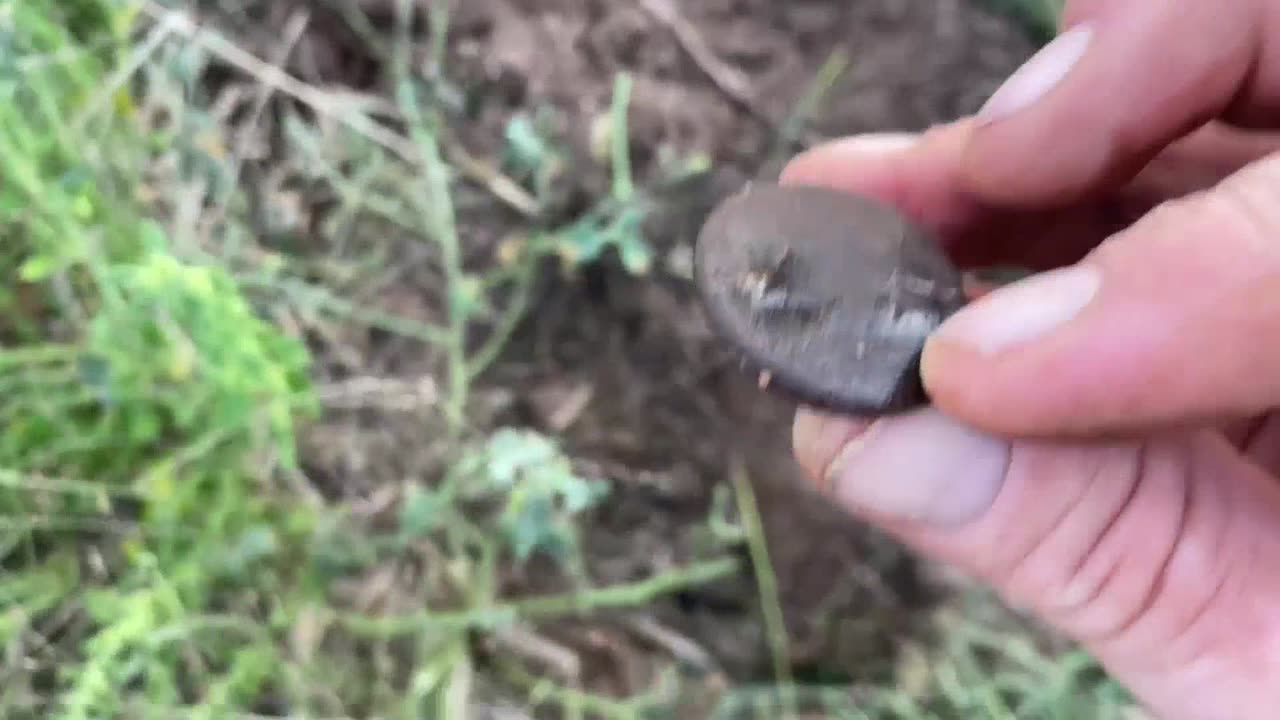 A Golden Moment Minelab CTX3030