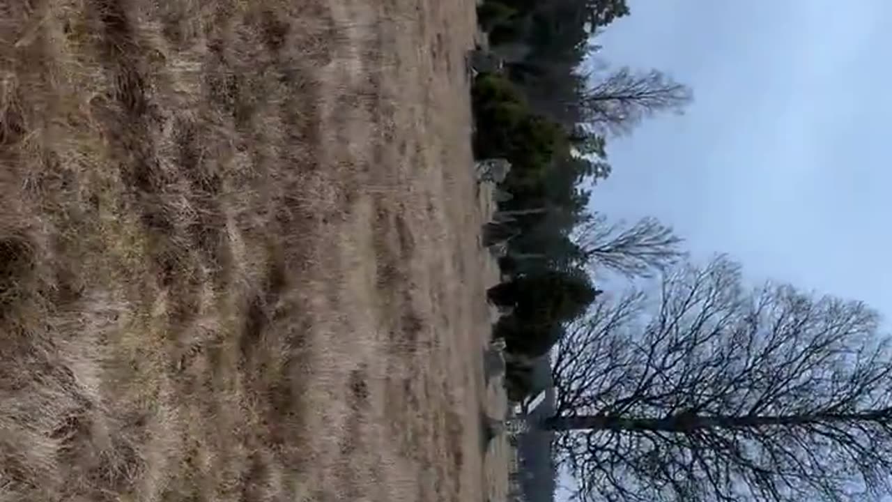 Atoldgraveyard