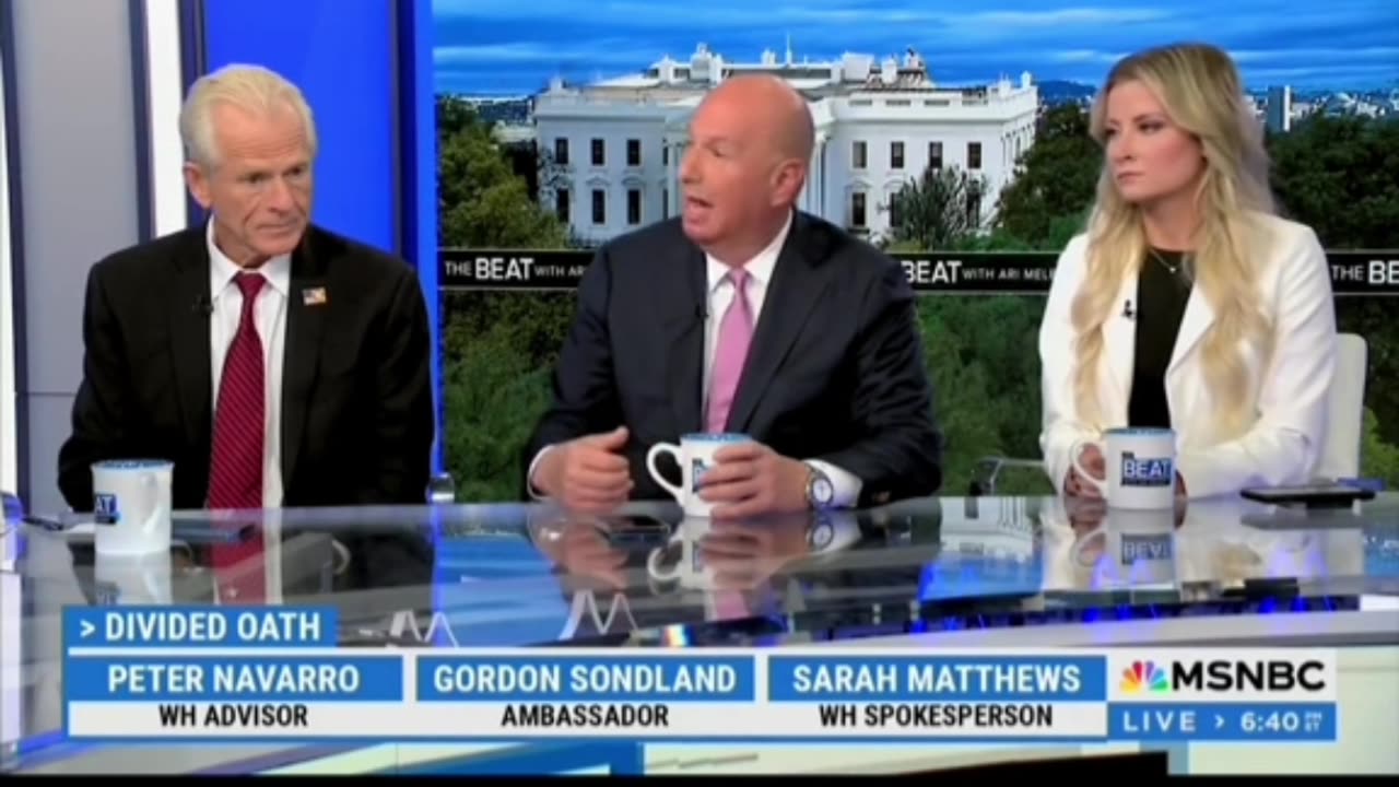 MSNBC's Ari Melber learns that 4 years of Biden/Harris made people want Trump back.