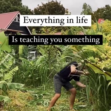 @byron.in.new.zealand - Are you listening to your lessons? | Instagram