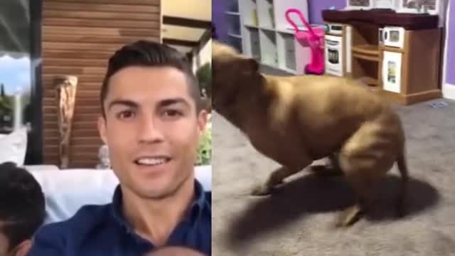 CR7 reaction, Cristiano reaction, What´s going on?