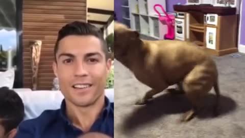 CR7 reaction, Cristiano reaction, What´s going on?