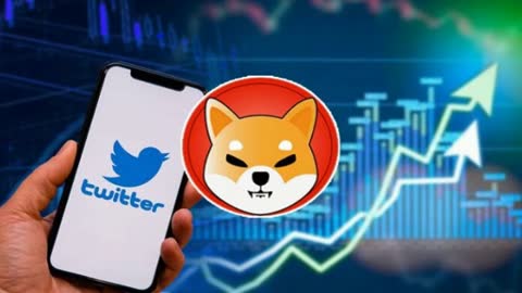 NEW ELON MUSK’S TWITTER SOLUTION TO TURN SHIBA INU TO $3.00 TOKEN!! (OVERNIGHT!?) - SHIB NEWS