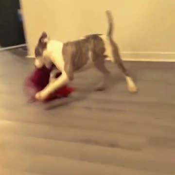 reason to smile because we already have to cry 21