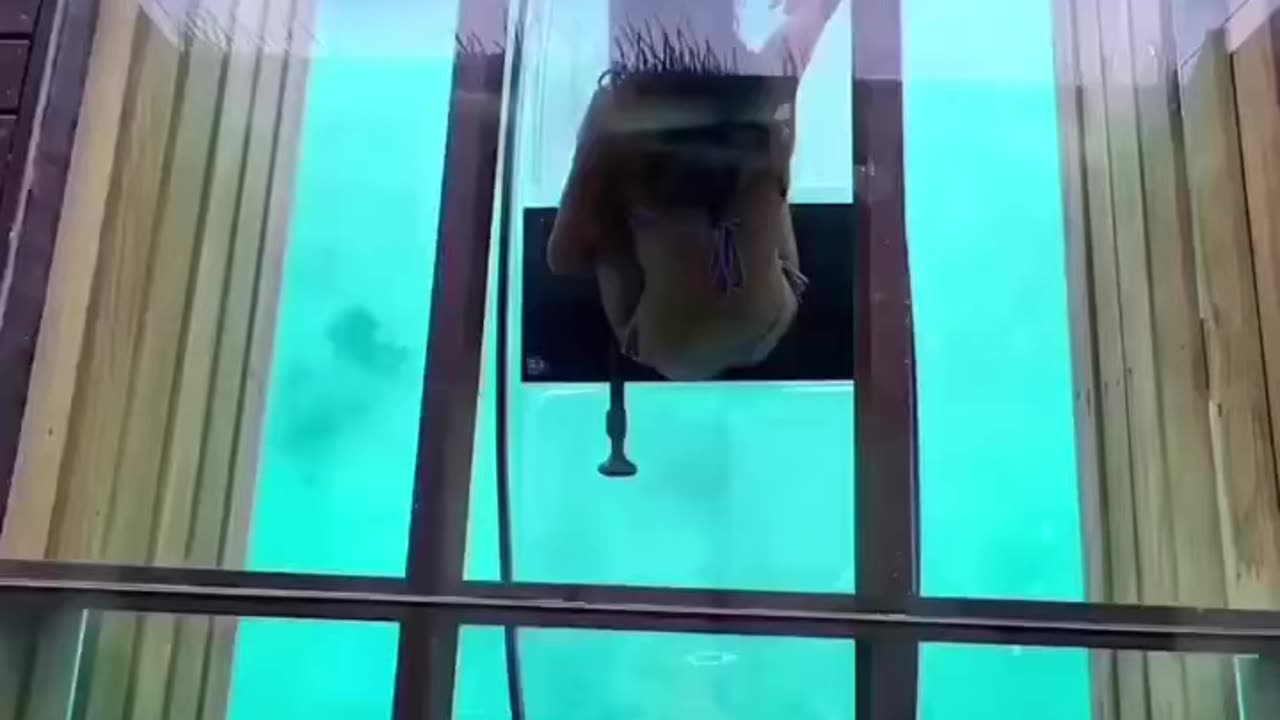 Dream Holiday