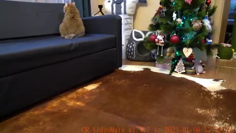 What are those traces then
