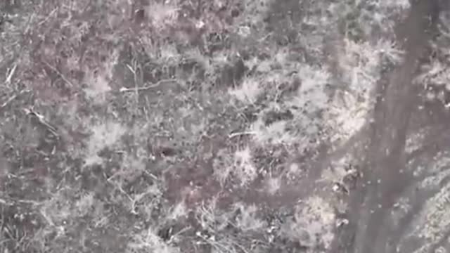 UKRANIAN NAZIS DIE IN FRONTLINE TRENCHES AS THEY ARE HIT BY RUSSIAN ARTILLERY