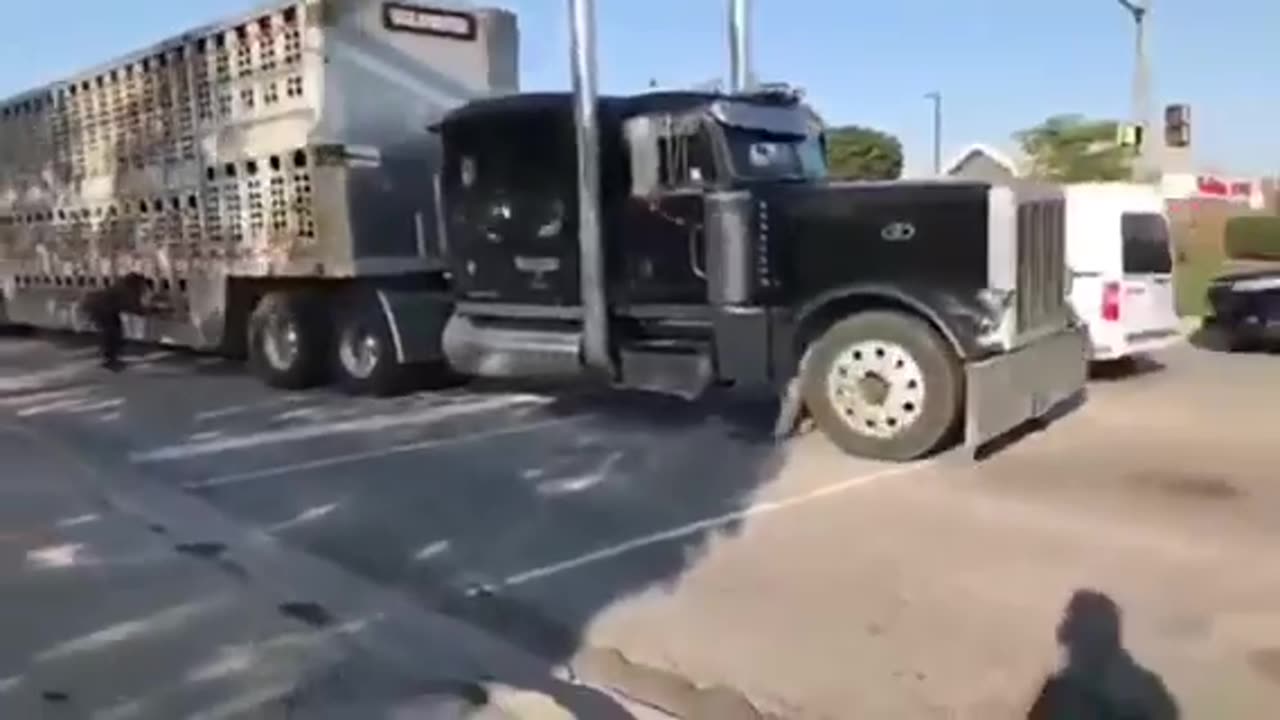 Vegans tries to stop a fully loaded livestock truck and fails completely