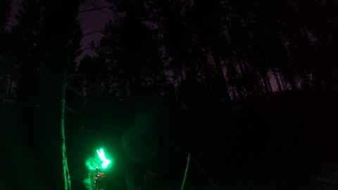 Nightlapse. Under a tarp. Woodland wildcamping 19th Jan 2023