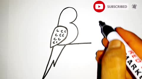 Bird Drawing Step by step Easy Art