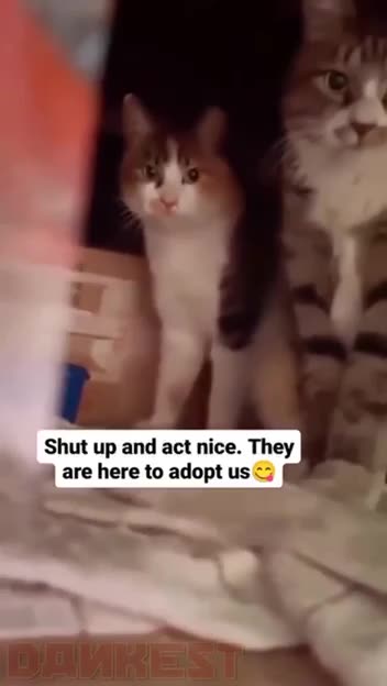 Be on your best behaviour 😂😂