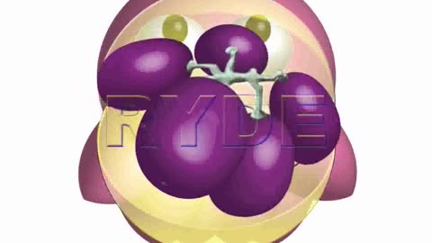 RYDE IMAGING VIDEO MICROENCODING PACMAN GRAPE
