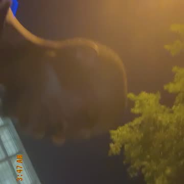 What’s kind of sense does that make 3