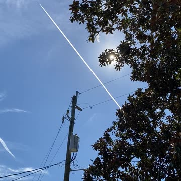 "Deep State Poisoning" on Valentines Day❤️2023