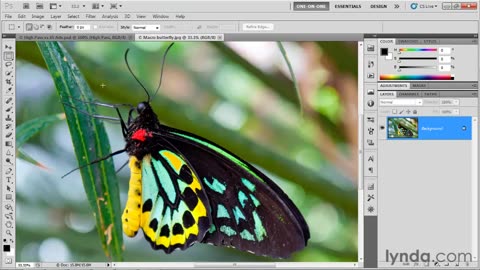 16 The new and improved Sharpen tool
