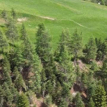 Beloved, let us love one another: for love is of God; and every one that loveth is born