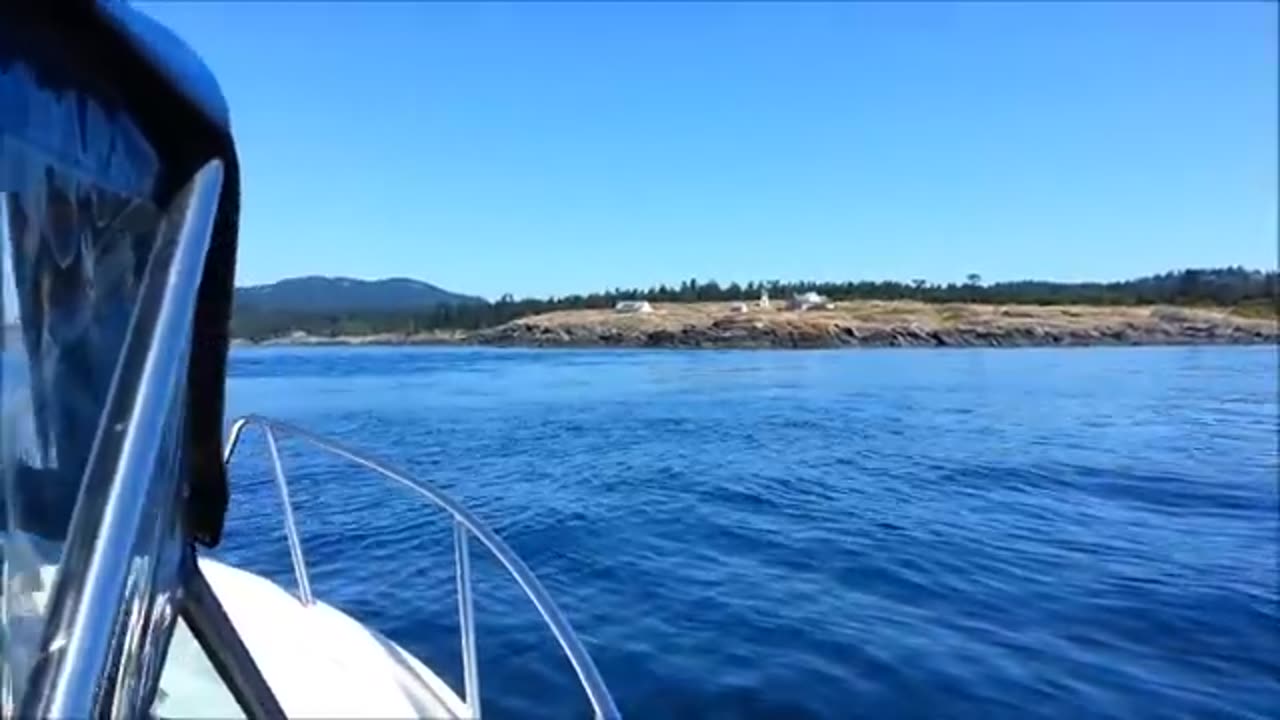 Orcas at Eagle Point San Juan Island WA