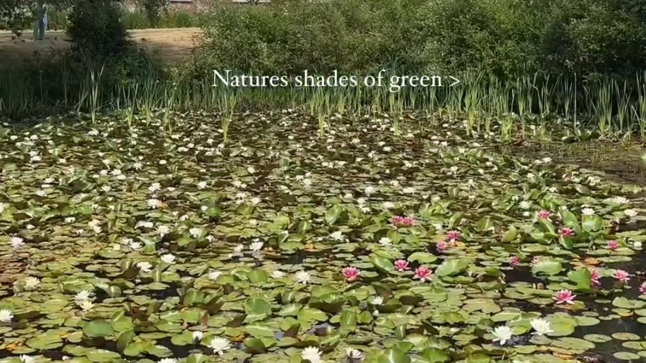 What a nature