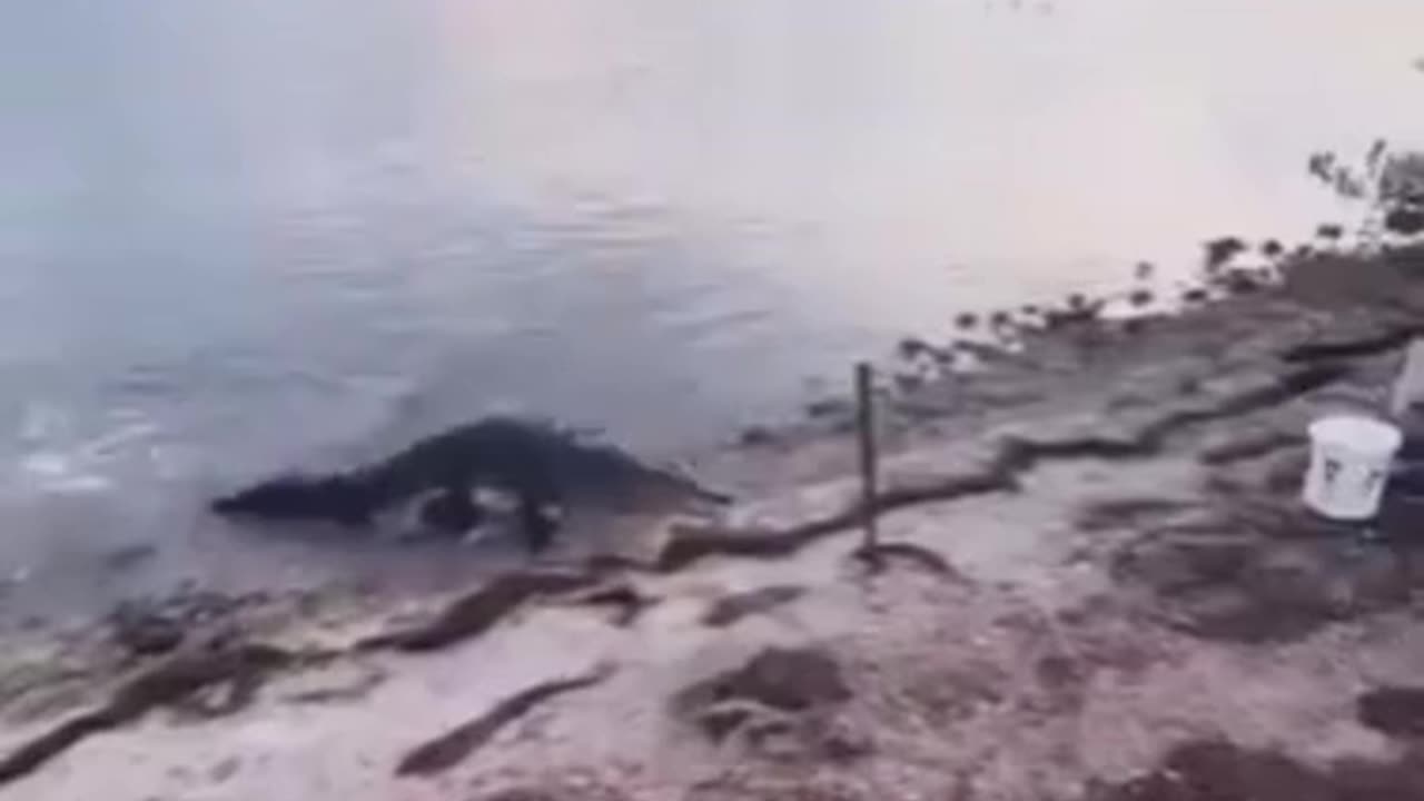 When you catch lunch but you’re about to become lunch