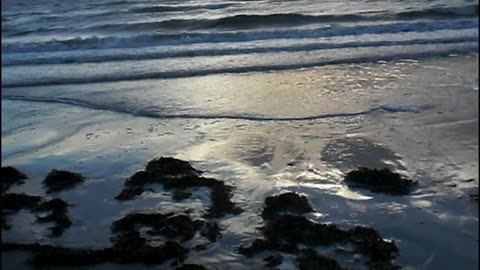 Stranden vid Helsingborg. 8 Sept. 2012.