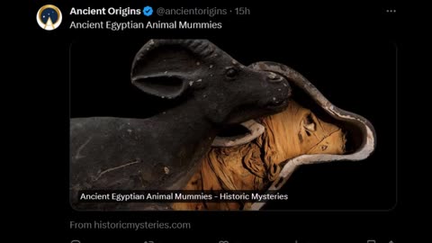 Ancient Origins - Animal Mummies