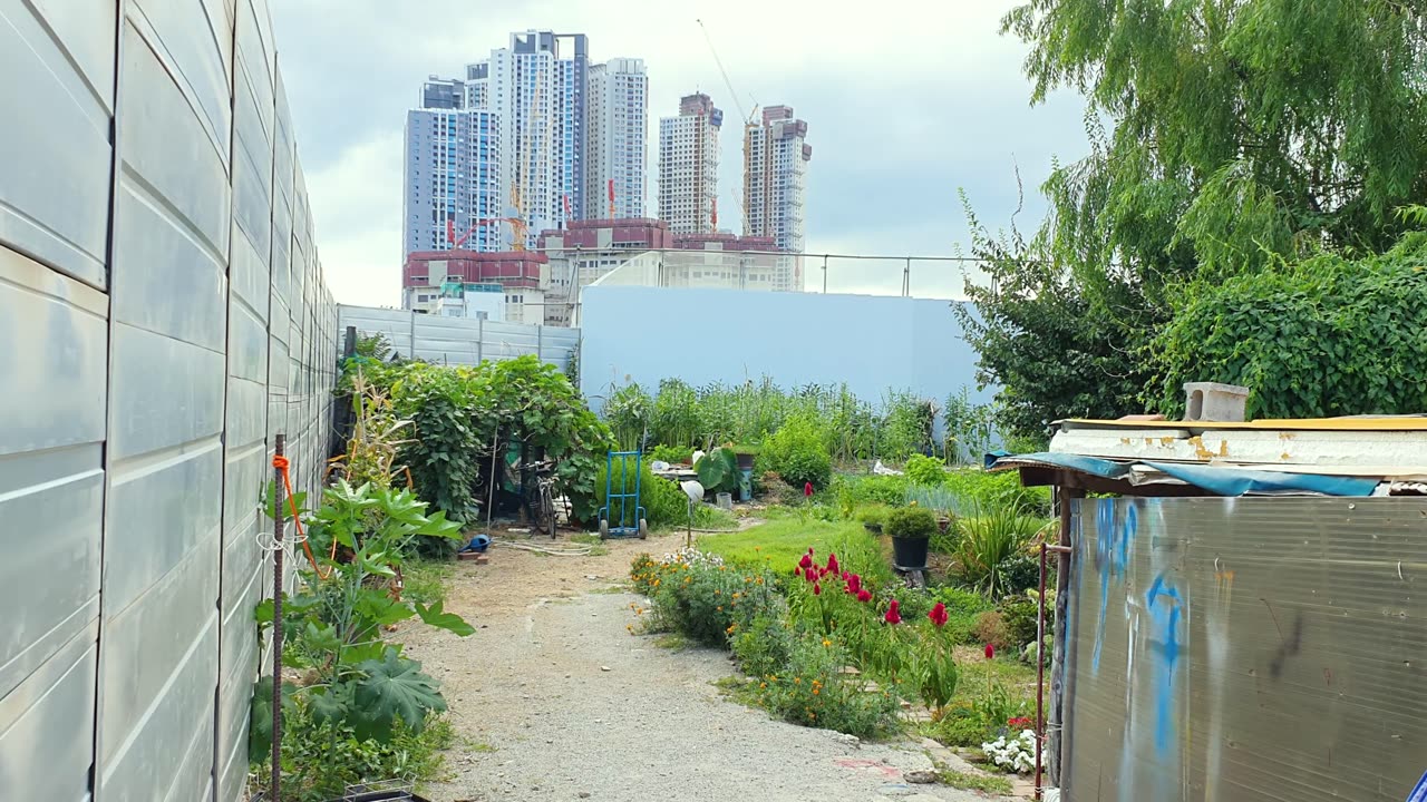 a private garden in a city