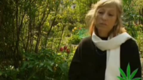 Romans went after hemp