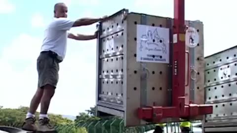 Brigette Bardot Animal Sanctuary