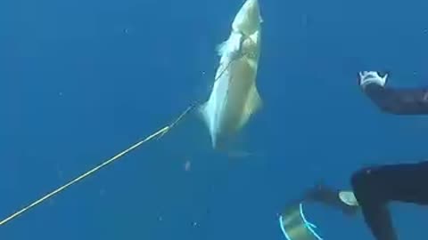Worlds most dangerious fishing till now by Ryan