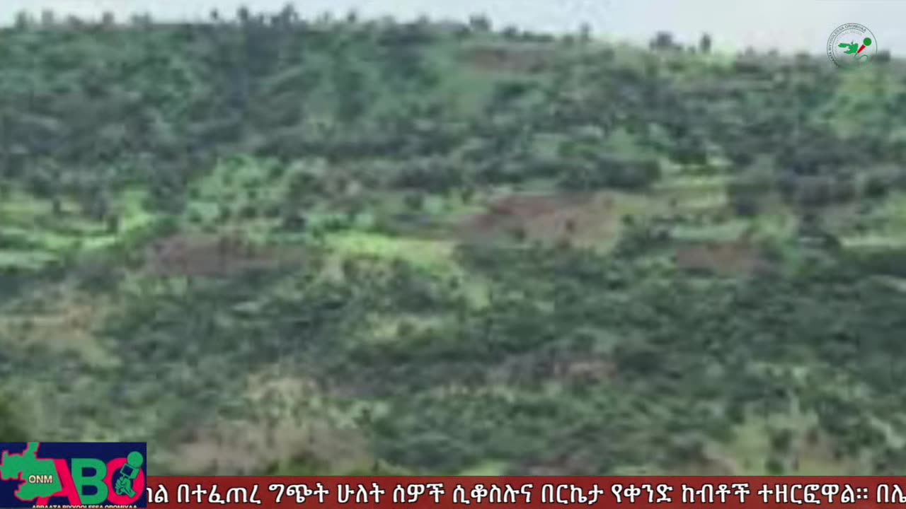 ጥቅምት 4፣ 2024 ONM-ABO እለታዊ የኦሮሞ ነፃነት ሰራዊትና የኦሮሚያ ውሎ!