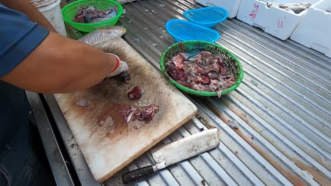 How to quick and fast cut fish