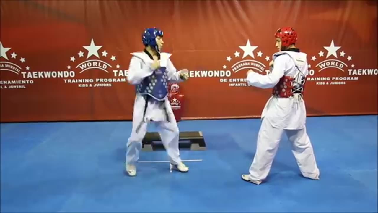 Taekwondo training