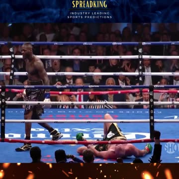 Bronze Bomber Knocks Down The Gypsy King