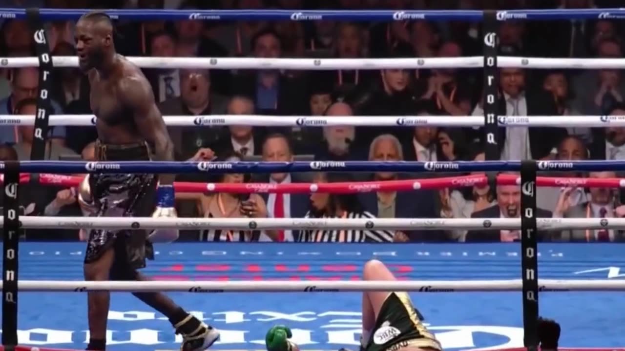 Bronze Bomber Knocks Down The Gypsy King