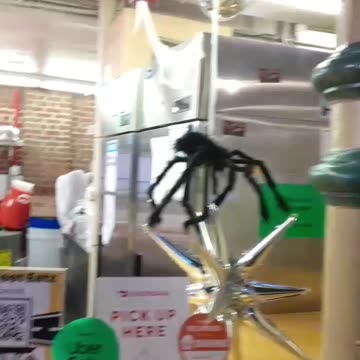 Flashback To Halloween In City Market. Part 3.