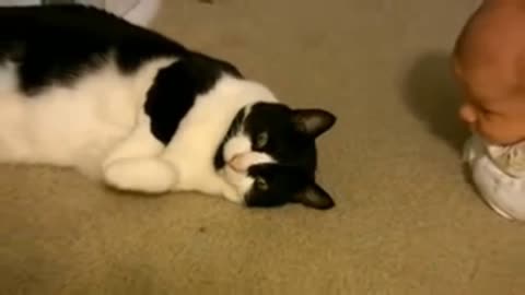 Cats Meeting Babies for the FIRST Time [NEW] Compilation