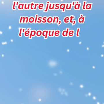 "La Parabole du Blé et de l'Ivraie : Le Temps de la Moisson" Matthieu 13:30#short #youtubeshorts #yt