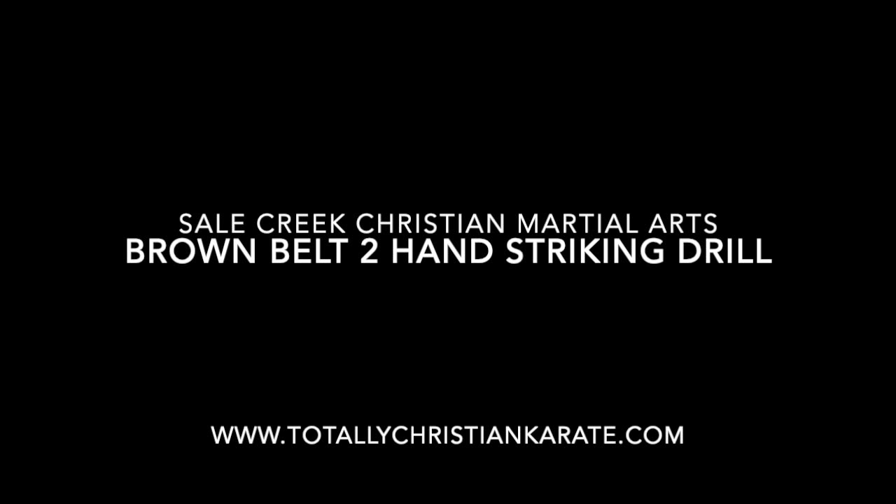 TCK Kids Brown Belt 2 Hand Striking Drill