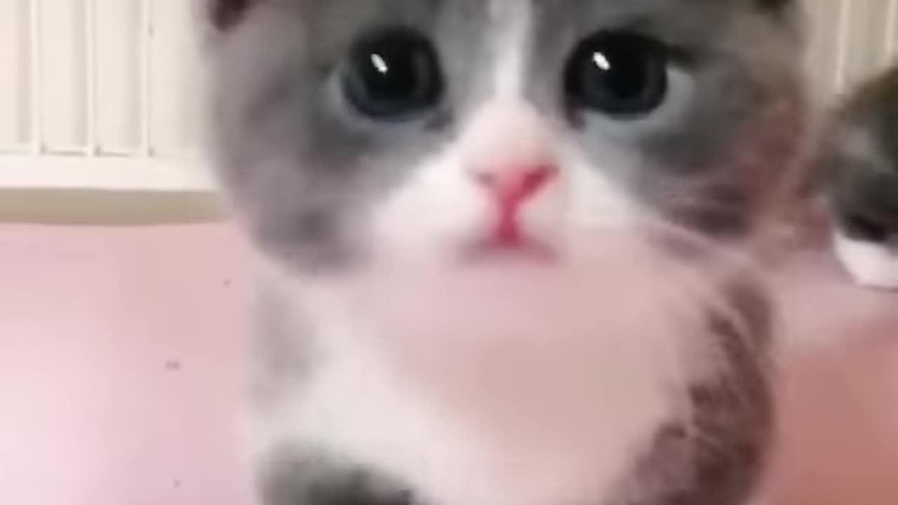 OMG 😍