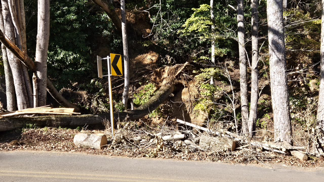 RCAnon / Redneck Renegade - Appalachia Report 10-17-24