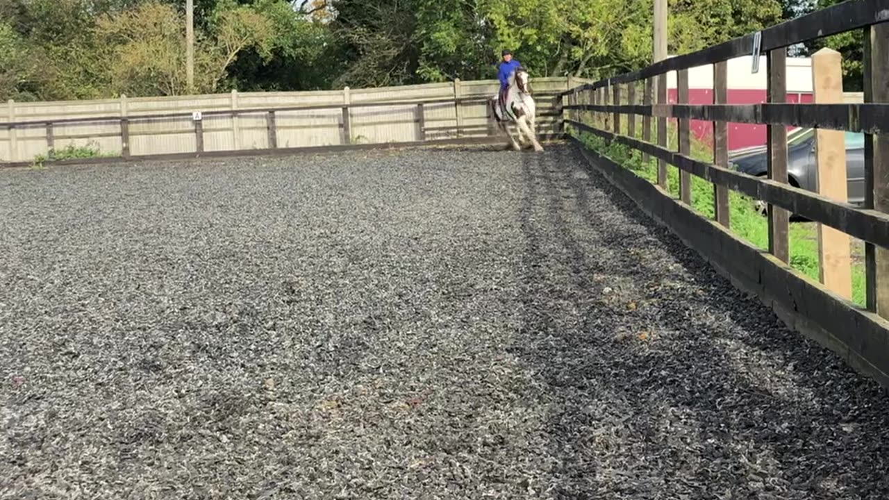 Cantering Horse Is Unphased By Inexperienced Rider