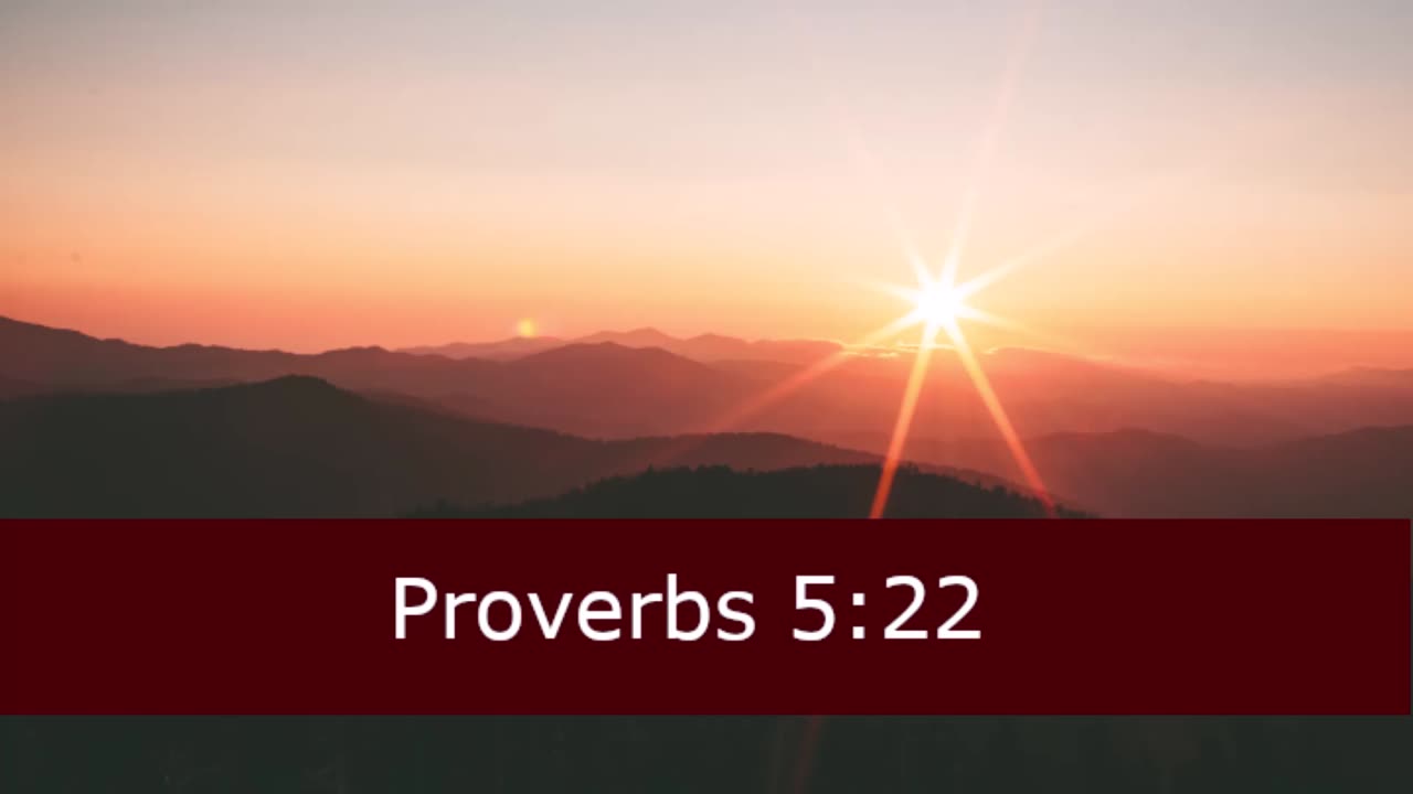 One Minute Proverbs 5 Devotional -- February 5, 2023