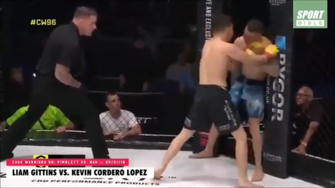 UFC Brutal KO's Compilation